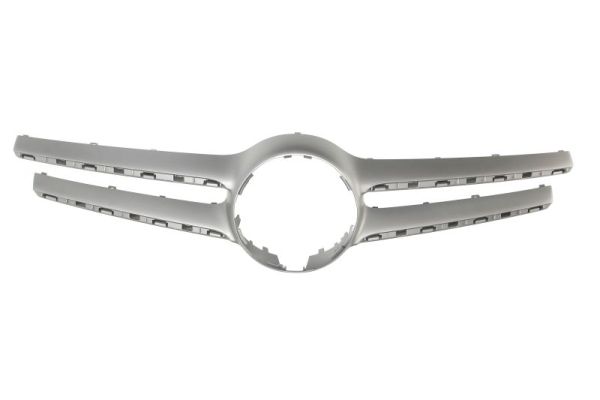 Sier- / Beschermingspaneel, radiateurgrille Blic 6502-07-3529927P