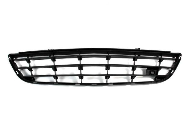 Grille Blic 6502-07-5024992P