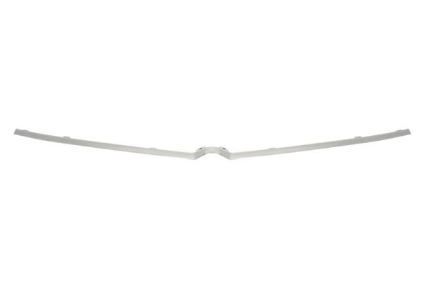 Sier- / Beschermingspaneel, radiateurgrille Blic 6502-07-5055994P