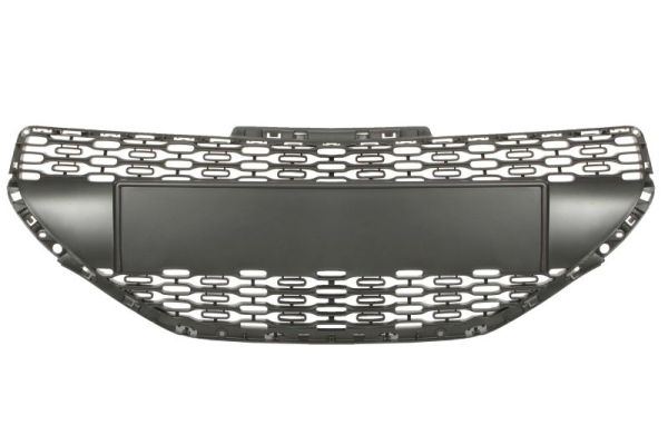 Grille Blic 6502-07-5509990P