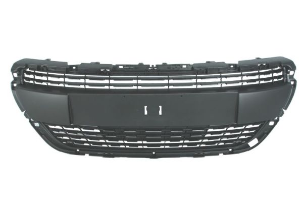 Grille Blic 6502-07-5509992PP