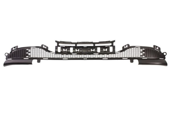 Grille Blic 6502-07-5509996P