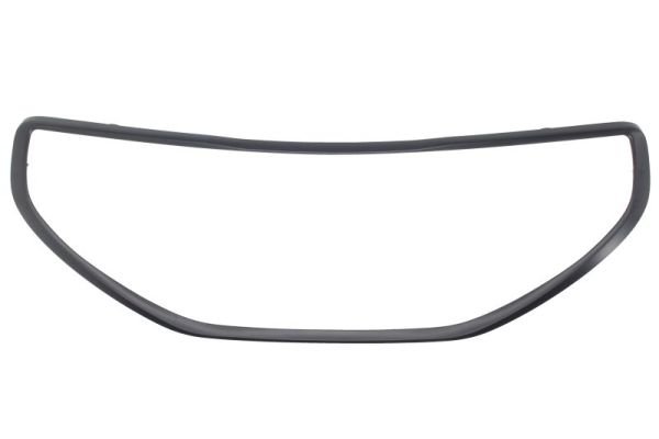 Sier- / Beschermingspaneel, radiateurgrille Blic 6502-07-5509997P