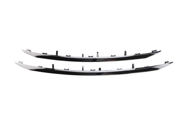 Sier- / beschermingspaneel, bumper Blic 6502-07-5516994P