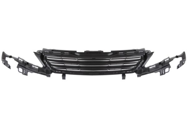 Grille Blic 6502-07-5519992Q