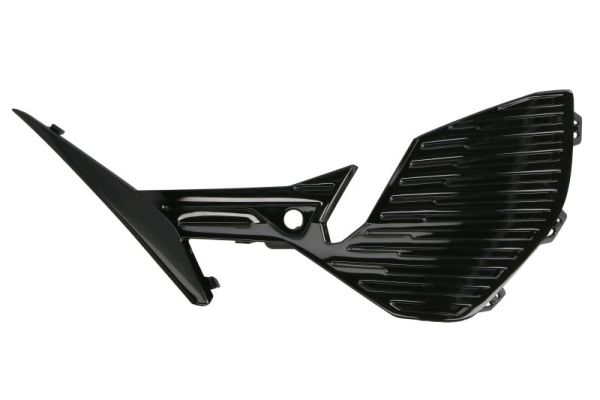 Ventilatiegrille, bumper Blic 6502-07-5521911P
