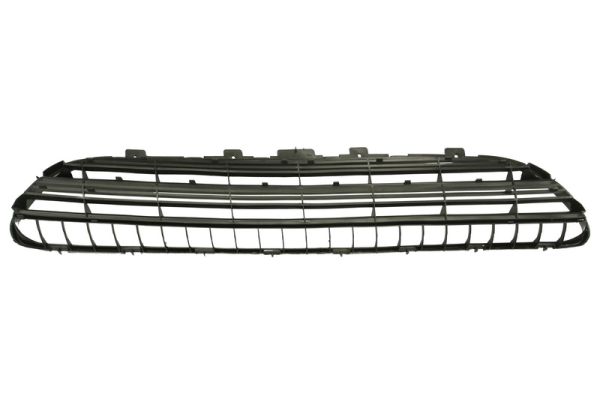 Grille Blic 6502-07-5536994P