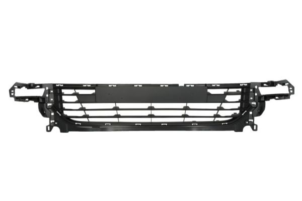 Grille Blic 6502-07-6033911Q