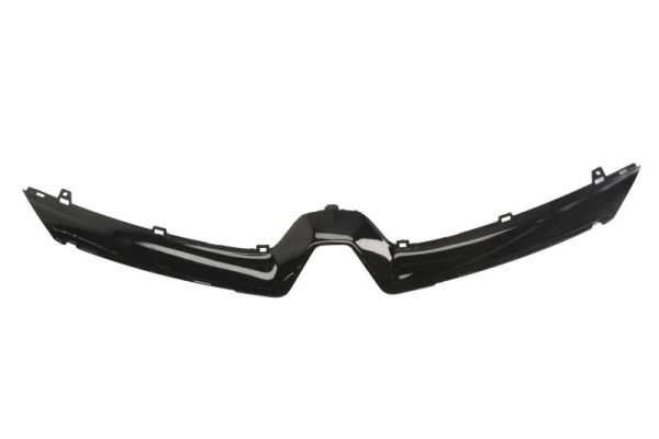 Sier- / Beschermingspaneel, radiateurgrille Blic 6502-07-6034995P