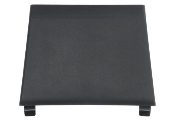 Ventilatiegrille, bumper Blic 6502-07-6066919P