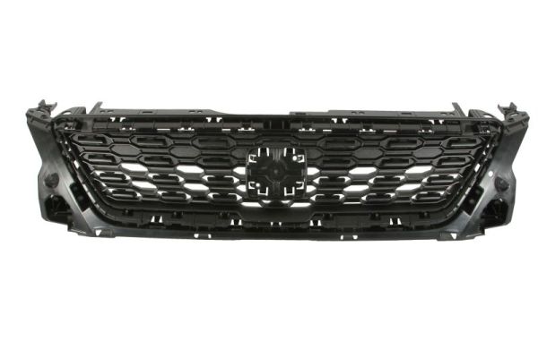 Grille Blic 6502-07-6623990Q