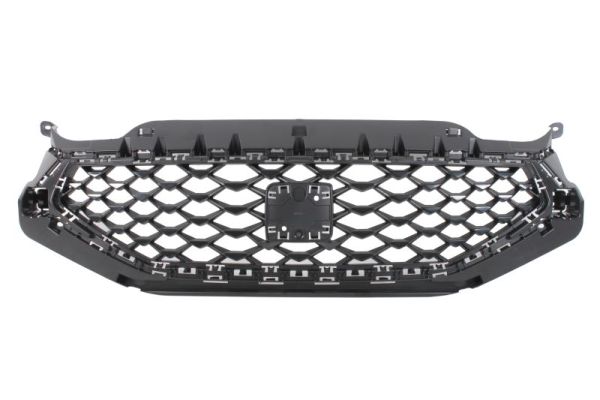 Radiateurgrille Blic 6502-07-6626992P