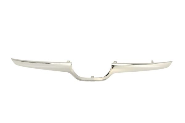 Sier- / Beschermingspaneel, radiateurgrille Blic 6502-07-6735993P