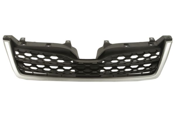 Grille Blic 6502-07-6738996P