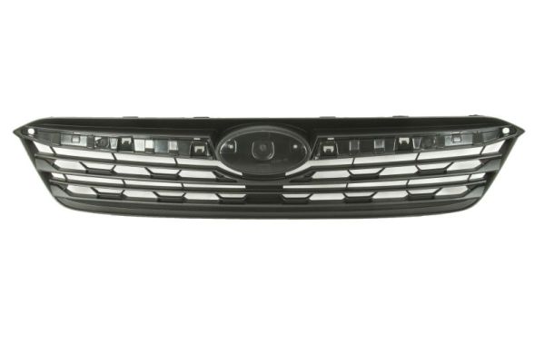 Grille Blic 6502-07-6747991P