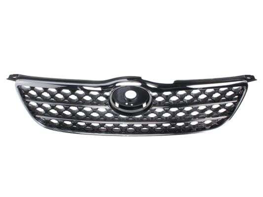 Grille Blic 6502-07-8116993P