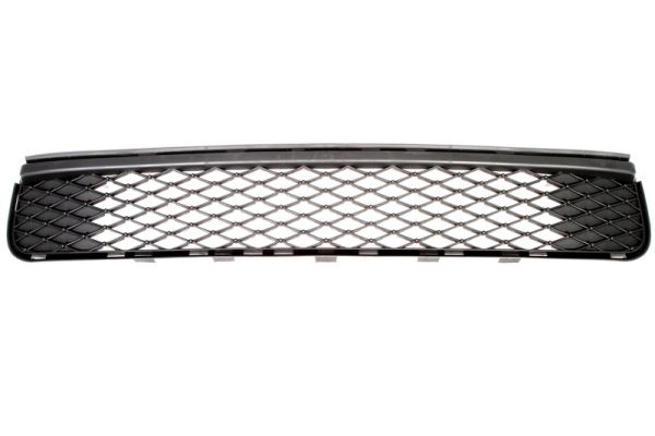 Grille Blic 6502-07-8118911P