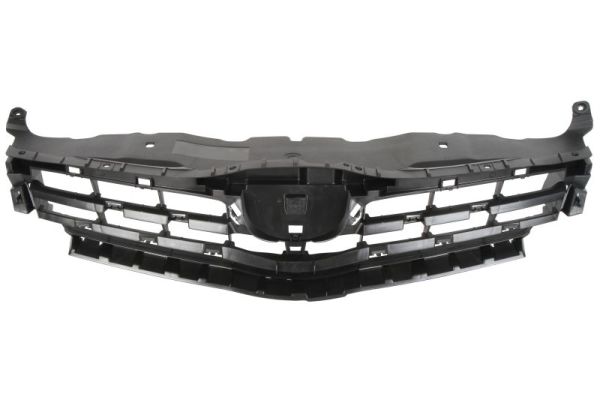 Grille Blic 6502-07-8118997Q