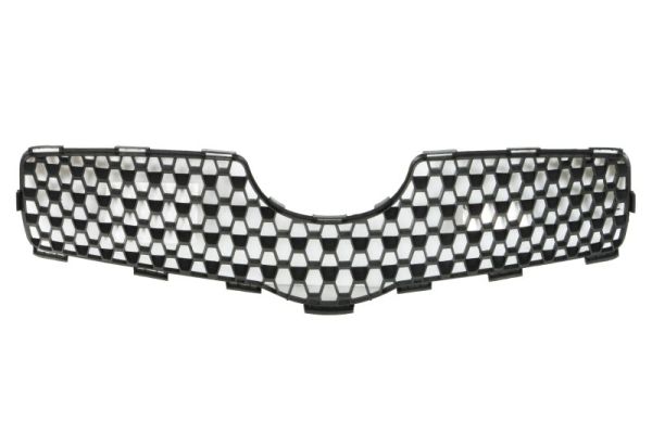 Grille Blic 6502-07-8155990Q