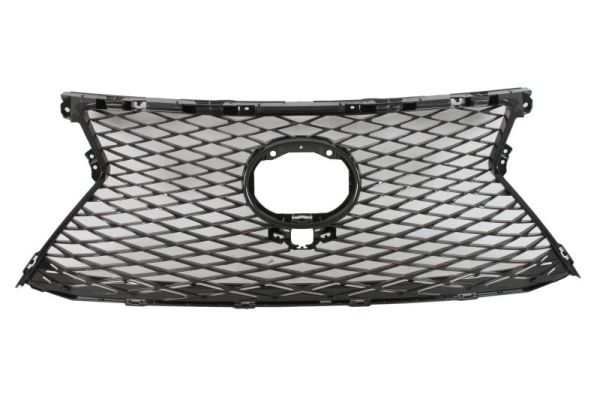 Radiateurgrille Blic 6502-07-8166992P