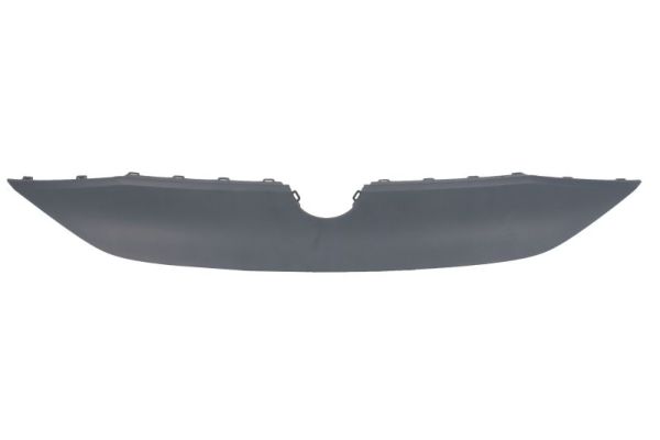 Sier- / Beschermingspaneel, radiateurgrille Blic 6502-07-9584991P