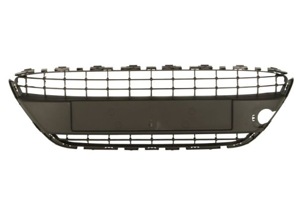 Grille Blic 6509-01-2565995P