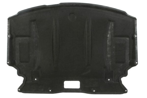 Motorbescherm plaat Blic 6601-05-0000035P