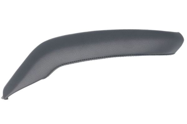 Handgreep, interieur Blic 8800-00-0000002P