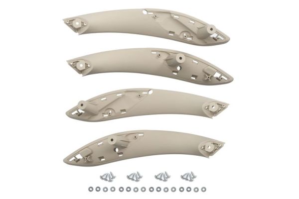 Handgreep, interieur Blic 8800-00-1950281P