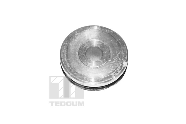 Tedgum Draagarm-/ reactiearm lager 00059616