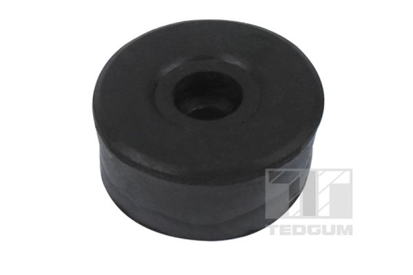 Stabilisatorstang rubber Tedgum 00163967