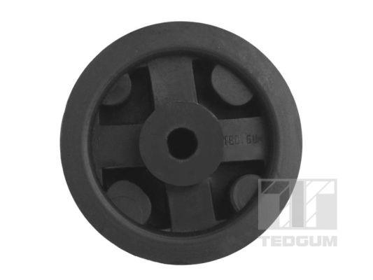 Tedgum Motorsteun 00168157
