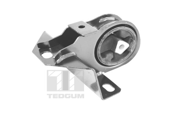 Motorsteun Tedgum 00190522