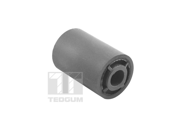 Bladveerlagerbus Tedgum 00208810