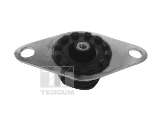 Tedgum Motorsteun 00215024