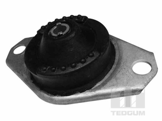 Motorsteun Tedgum 00215723