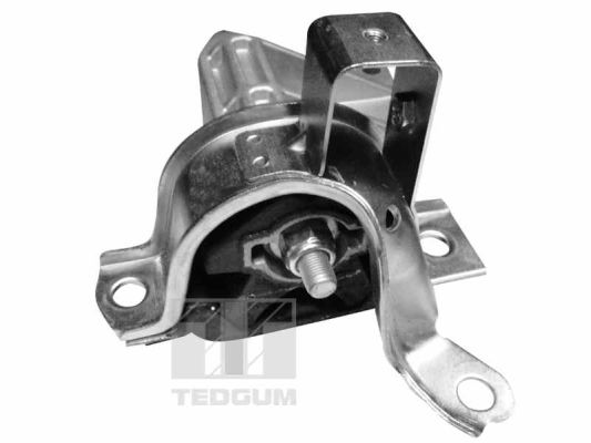 Motorsteun Tedgum 00215781