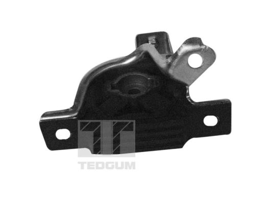 Tedgum Motorsteun 00219673
