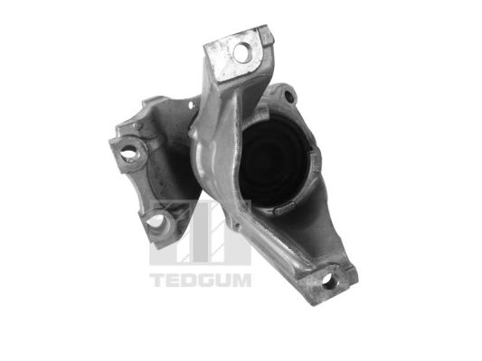 Motorsteun Tedgum 00269182