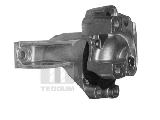 Motorsteun Tedgum 00269468