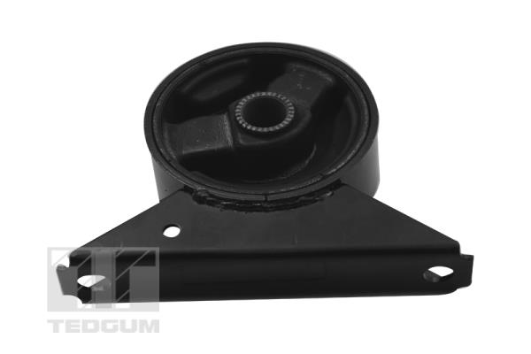 Tedgum Motorsteun 00284804