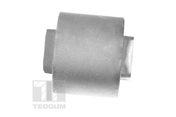Tedgum Draagarm-/ reactiearm lager 00313739