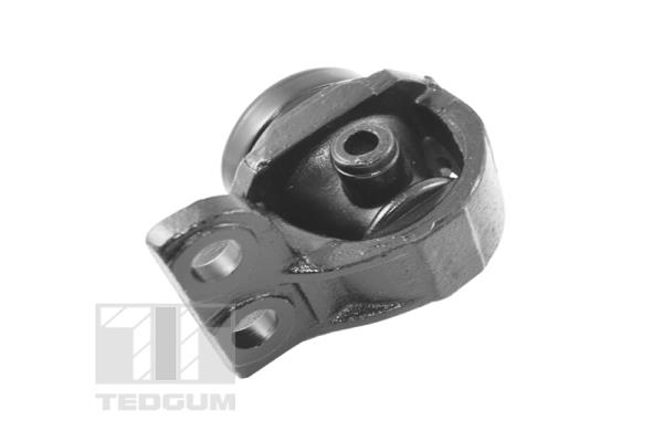 Tedgum Motorsteun 00345623