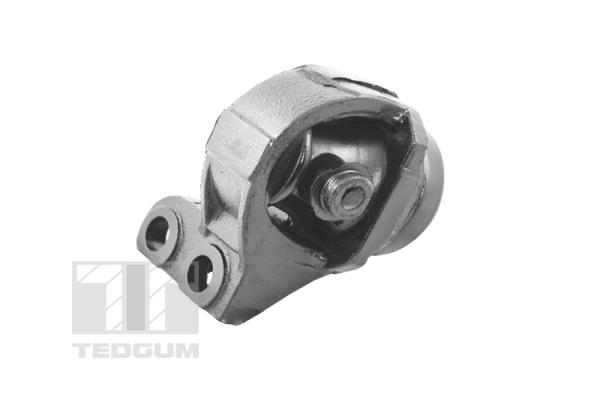Tedgum Motorsteun 00345623