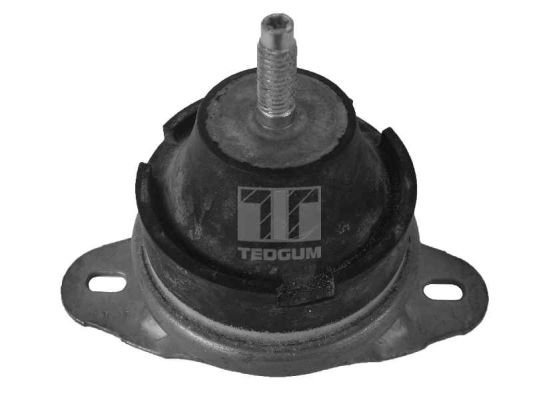 Motorsteun Tedgum 00374170