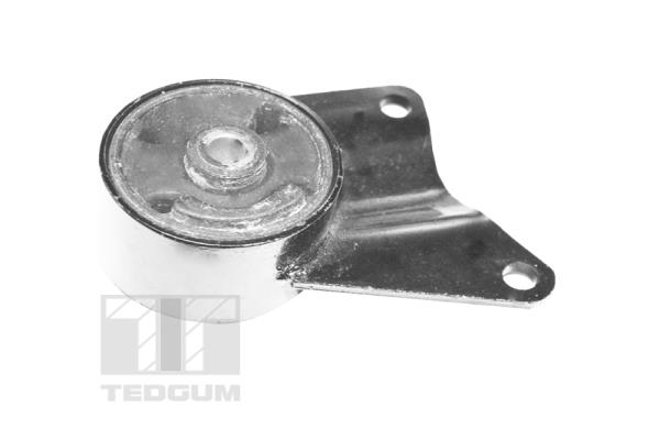 Tedgum Motorsteun 00392587