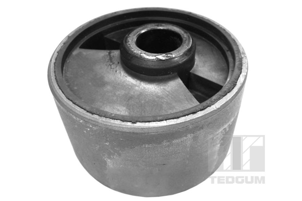 Motorsteun Tedgum 00394237