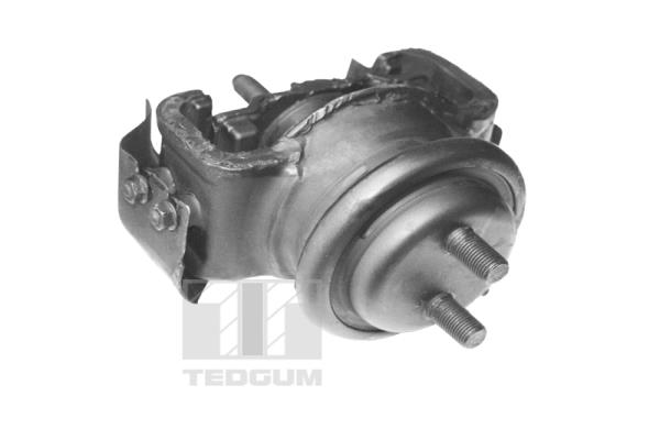 Motorsteun Tedgum 00395115