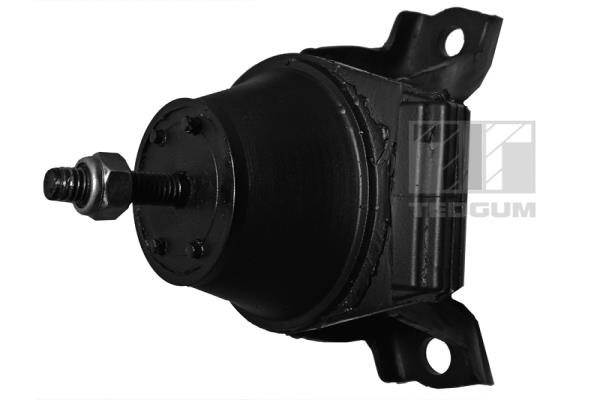 Motorsteun Tedgum 00398245