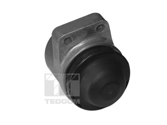 Motorsteun Tedgum 00399821